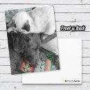 Recherche de bonjour amour cartes postales Dog