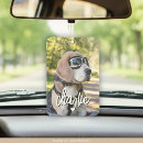 Recherche de chien désodorisants voiture Cool