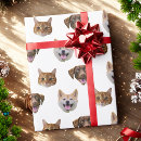 Recherche de chat chien papier cadeau Pour animaux