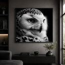 Recherche de hibou blanc posters Hibou des neiges