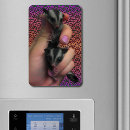 Recherche de marsupiaux magnets Opossum