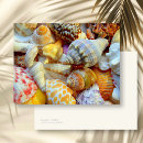 Recherche de coquilles de conque cartes postales Vie marine