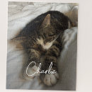 Recherche de chien de jouet puzzles Moderne