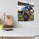 Zoek naar grappige dieren posters Wasbeer