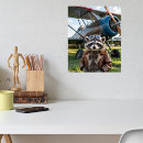 Recherche de raton laveur posters Pilote