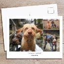 Recherche de texte humoristique cartes postales Toute personne