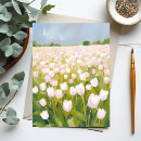 Recherche de tulipes blanches cartes postales Fleur