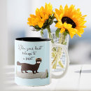 Recherche de furets tasses De furet