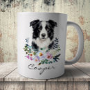 Recherche de chien de colley tasses Canin
