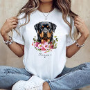Recherche de rottweiler Canin