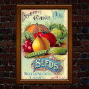 Recherche de radis posters Vintage