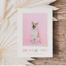 Recherche de vœux cartes 1 photo