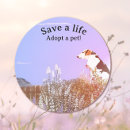 Recherche de peinture de chien autocollants Animaux de compagnie
