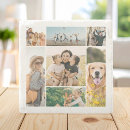 Zoek naar met foto onderzetters Modern