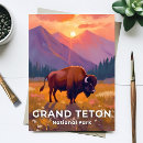 Recherche de grand teton cartes postales Bison