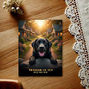Recherche de labrador retriever cartes postales Canin