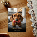 Recherche de teckel cartes postales Adorable