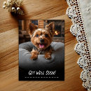 Recherche de yorkshire terriers vœux cartes Chien