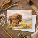 Recherche de ouest américain cartes postales Bison