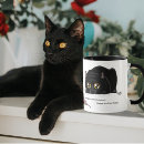 Recherche de chat humoristique tasses Humour félin