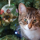 Recherche de chat siamois ornements Vacances