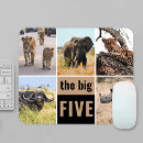 Recherche de éléphant photographie Afrique du sud