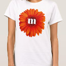 Recherche de marguerites de gerbera Fleur