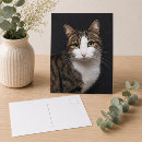 Recherche de yeux verts cartes postales Photographie