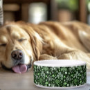 Recherche de feuille d animaux articles Trèfle