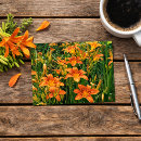 Zoek naar oranje bloem briefkaarten Foto