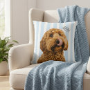 Recherche de chiens coussins Pour tous