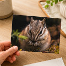 Recherche de tamia cartes postales Sauvage