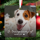 Recherche de animaux mémoriaux Dogs