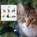 Zoek naar grappige parodie ornamenten Kattenliefhebbers