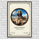Zoek naar afghaans posters Jachthond