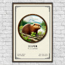 Zoek naar bevers posters Rivier