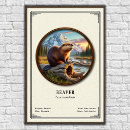 Zoek naar bever dier posters Wildlife