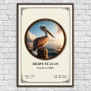 Zoek naar pelikaan posters Bruin