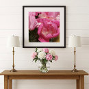 Zoek naar pioen bloemen posters Lente