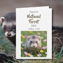Recherche de le furet cartes invitations Amoureux des furets