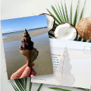 Recherche de géants cartes postales Vie marine