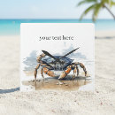 Recherche de crabe horloges Océan