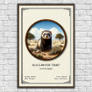 Zoek naar graver posters Dier