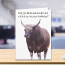 Zoek naar grappige stier kaarten Dier