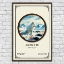 Zoek naar vos sneeuw posters Arctisch