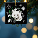 Recherche de renard arctique ornements Blanc