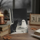 Recherche de chatons t cartes postales Chat noir