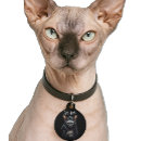 Recherche de squelette animaux articles Chats
