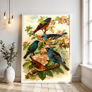 Recherche de observé art Illustration