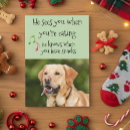 Zoek naar snacks kaarten Hond